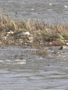 Вардар преполн со ѓубре – мини депонии долж реката