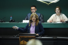 Условна казна затвор од две години за напаѓачот на градоначалничката Данела Арсовска