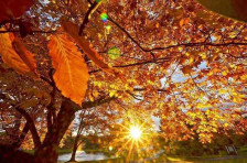 Метео: Видете какво ќе биде времето денес