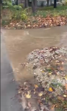 (Видео) Битола „на вода“: Уште гондола да најдеме и Венеција може вода да ни носи