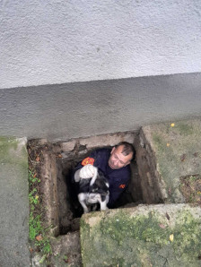 Пожарникари од Старо Нагоричане спасија куче паднато во шахта во школски двор