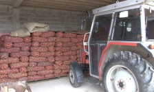 Четворица струмичани украле 160 вреќи компир од камион сопственост на жител од тетовско