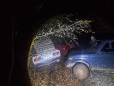 Дрвокрадци намерно се судриле со службено возило на Шумската полиција сакајќи да избегаат