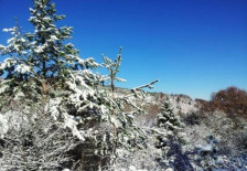 Метео: Видете какво ќе биде времето денес