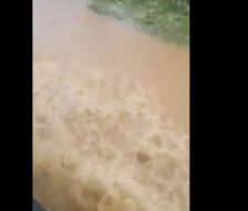 (Видео) Пријавени поплави по обилните врнежи низ Македонија – ова се деталите