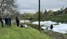 МИСТЕРИОЗНАТА БЕЛА ПЕНА ОД ВАРДАР СЕ ПОЈАВИ И ВО ЗЕЛЕНИКОВО, никој се уште не знае зошто