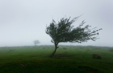 МЕТЕО: Видете какво ќе биде времето денес