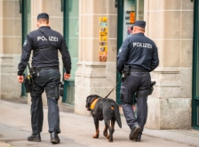 Тројца македонски државјани повредени во масовна крвава тепачка во Швајцарија