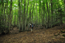 Апел за внимателно движење во природа, АХВ започна орална вакцинација на лисици против беснило