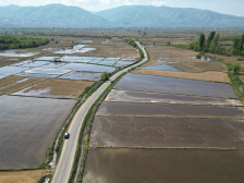 Дождот ја уништи надежта за жетва на оризот во кочанско, во нивите не се влегува