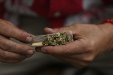 Татко и син осомничени за илегална трговија со марихуана во гевгелиско