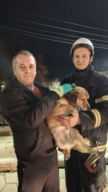 Пожарникарите од Кавадарци спасија куче од водите на реката Луда Мара 