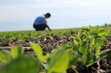 За скандалот со ИПРАД, СДСМ ќе ја повика главната европска обвинителка, Ковеши да ја посети Македонија