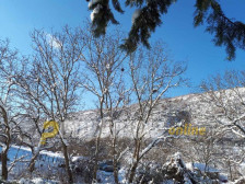 Метео: Видете какво ќе биде времето денес