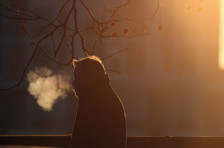 Од утре температури до -14 степени, доаѓа суво и студено време