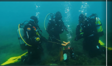 Запален василичарскиот оган во водите на Охридското Езеро!