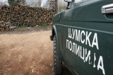 Лишени од слобода две лица од Марена, превезувале огревни дрва без документи