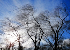 Метео: Видете какво ќе биде времето денес