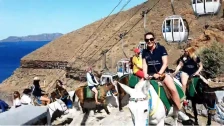 Не идеме: Туристите потешки од 100 килограми веќе нема да смее да јаваат магариња на Санторини