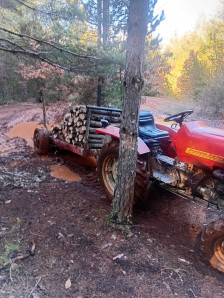 Нелегална сеча на Галичица: Фатен трактор со дабови дрва спремни за транспорт