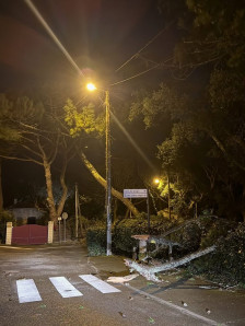 (Видео) Околу 850.000 домаќинства во Франција останаа без струја поради бура