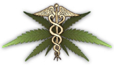 Се огласи здружението за канабис „Билка“ – Легализација сега!