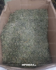 (Фото) УШТЕ ЕДЕН ТОН МАРИХУАНА ЗАПЛЕНЕТ ВО ФИРМА ВО ВАЛАНДОВО!