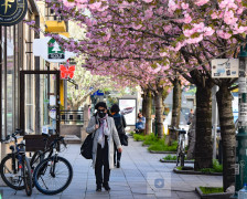 Средната возраст на населението во Македонија е 42,21 година, во ЕУ 44,9