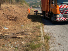 2,3 МИЛИОНИ ЕВРА ќе нѐ чини косење на трева и сечење на гранки по патиштата во Македонија