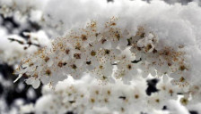 Од утре до четврток: Дожд и снег во повисоките предели