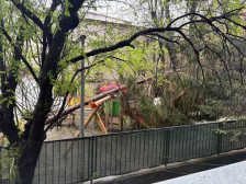 (Видео) Силно невреме во Хрватска: Затворени училишта, откорнати дрвја и покриви