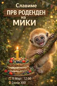 РЕЗИЛ: Гости во Зоолошка му украдоа пола од подароците за првиот роденден на мајмунот Мики