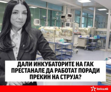 Левица: Дали инкубаторите на ГАК престанале да работат поради прекин на струја?