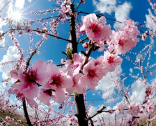 Видете какво ќе биде времето денес