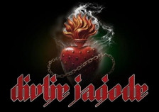 ПОЧИНА РОК ЛЕГЕНДАТА ОД ДИВЉЕ ЈАГОДЕ