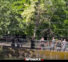 (Видео) Инцидент во ЗОО Скопје: Деца маваат со камења по нилскиот коњ!