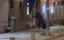 (Видео) Штипјанка со секира демолира банкомат во Ресен