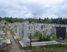 Приведен 24-годишен скопјанец кој сквернавел гробови во Бутел