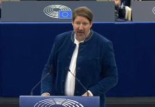 Европскиот парламент денес го гласа за извештајот на Томас Вајц за Македонија