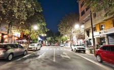 Ќе се исечат 25 дрвја низ Центар, биле суви, заболени и небезбедни