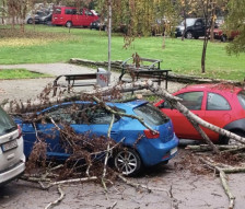 Суво дрво се скрши и оштети возило на улица во Скопје