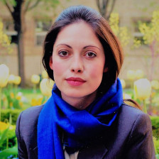 Што не е во ред со членот 394-г?  - Либертас