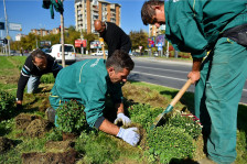 Ако до утре не ја земат септемвриската плата, вработените ќе ги блокираат двата влеза на ЈП „Паркови и зеленило“ - Либертас