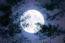 Ретка појава утре: Најголемата супермесечина годинава - Либертас