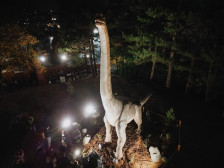 Левица: Јорданов се пишмани – Општина Штип ќе го продаде Дино паркот од 800.000 евра на приватен бизнисмен - Либертас