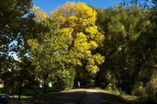 Утрото студено, а потоа сончево со температура до 20 степени - Либертас