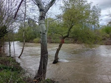 ЦУК: Од обилните дождови поплавени домови, земјоделски површини, патишта,... во делови од државава - Либертас