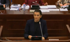 Костадинова Стојчевска: Македонскиот јазик не се чува со кратење на буџетот за инспекторатот за македонски јазик - Либертас