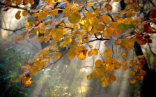 Најмногу дожд во Маврови Анови - Либертас