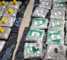 Запленети 62 пакувања со марихуана при претрес на возило во Струшко - Либертас